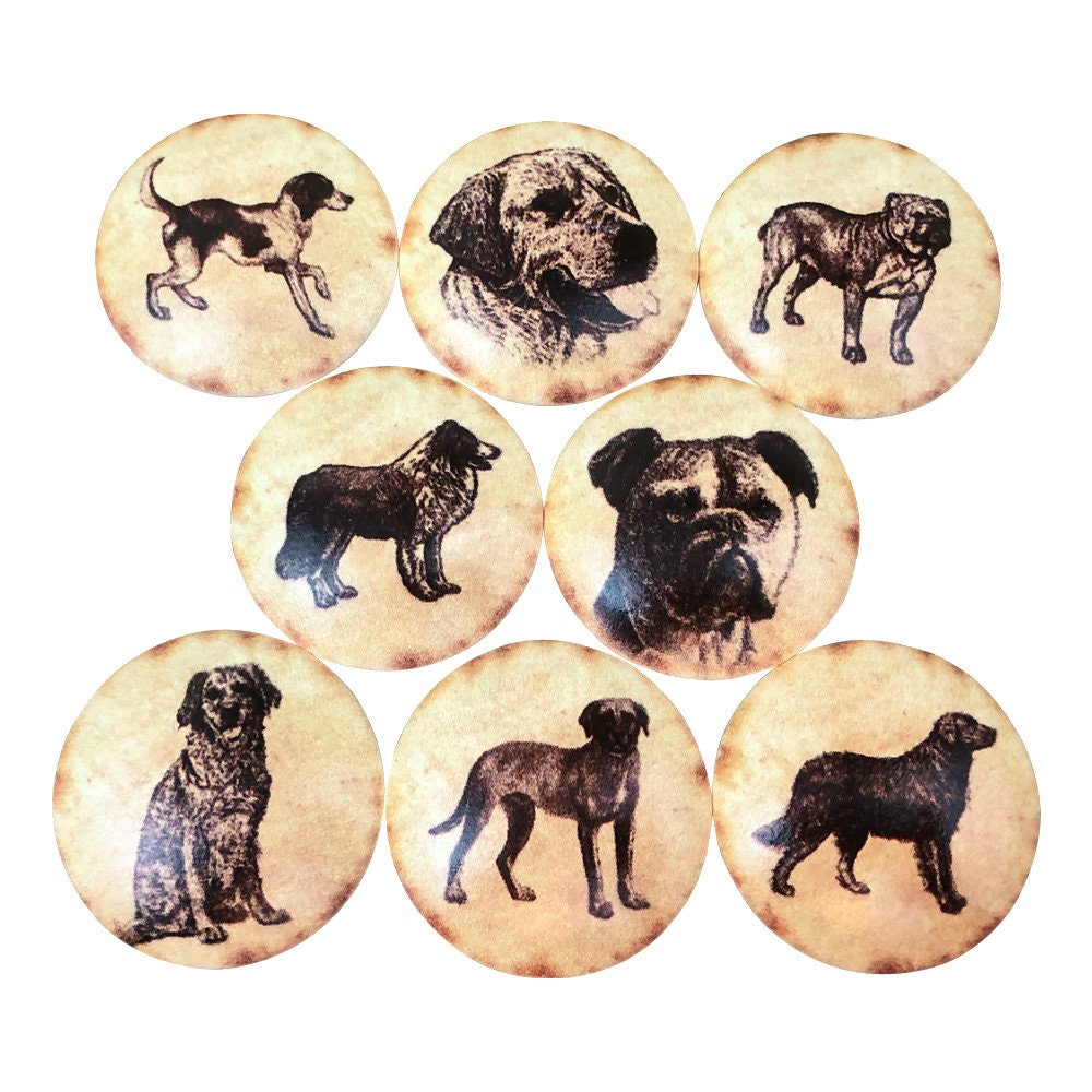 Juego de 8 pomos de armario Vintage Dogs