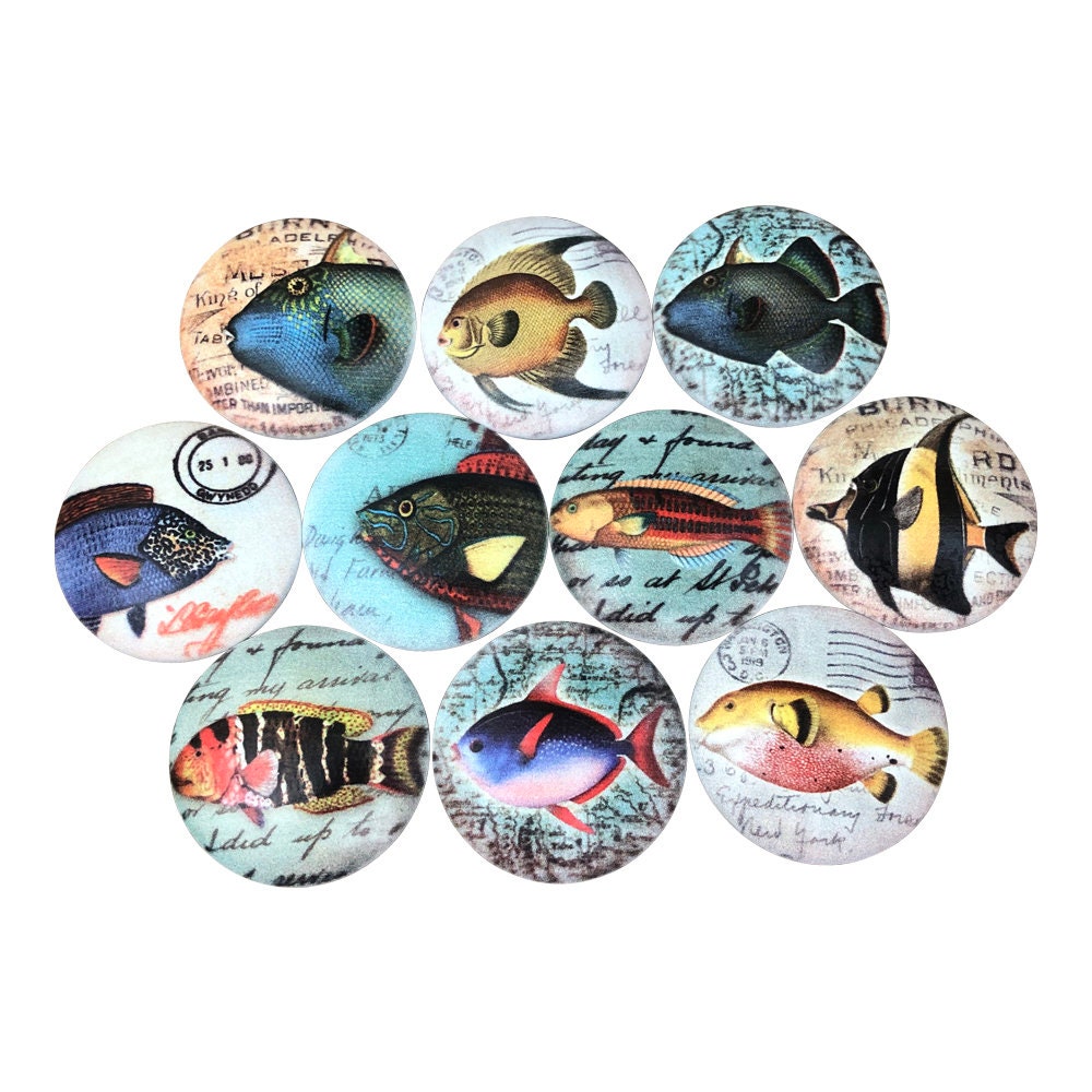 Set of 10 Tropical Fish Nautical Cabinet Knobs