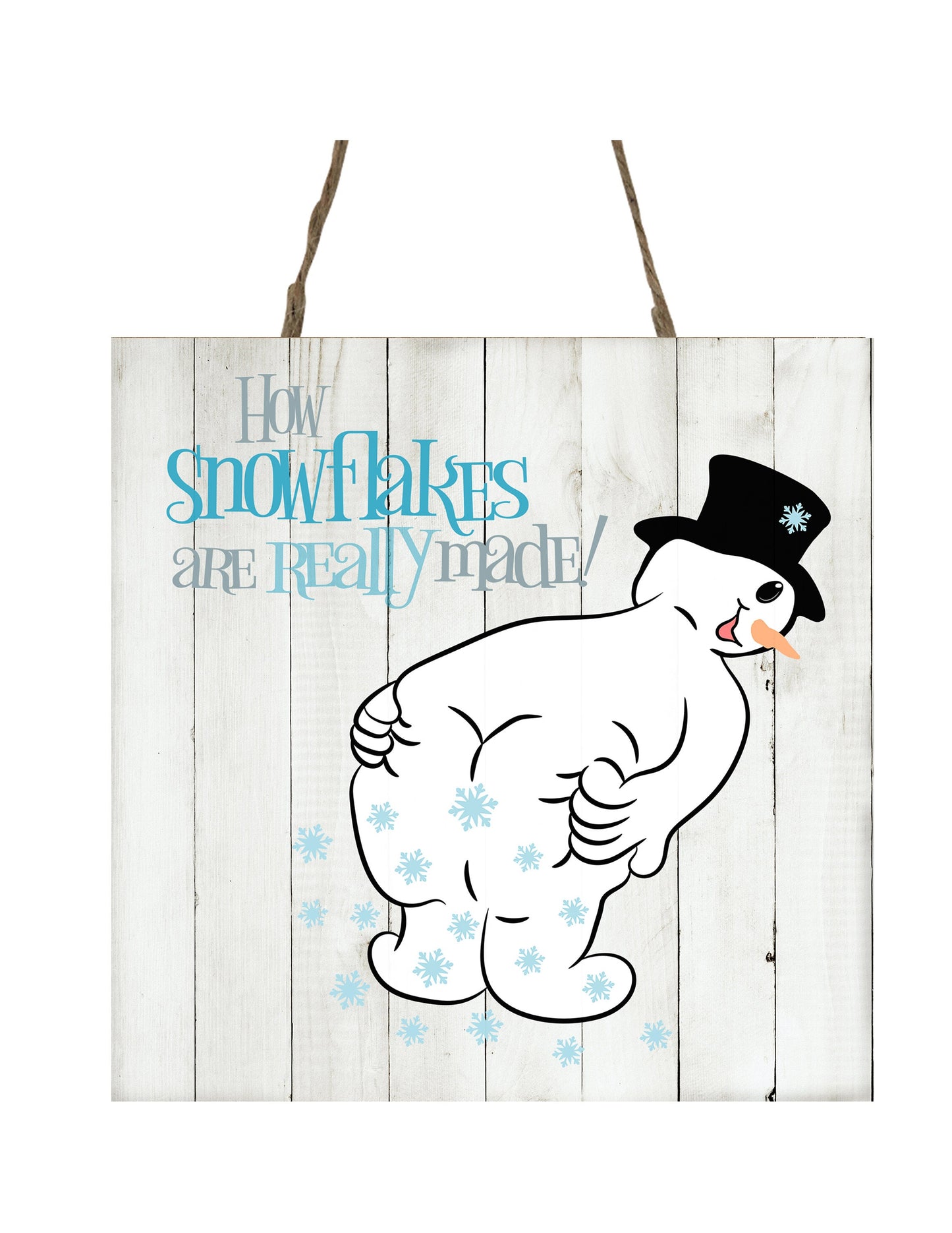 How Snowflakes are Really Made Printed Handmade Wood Christmas Ornament Mini Sign