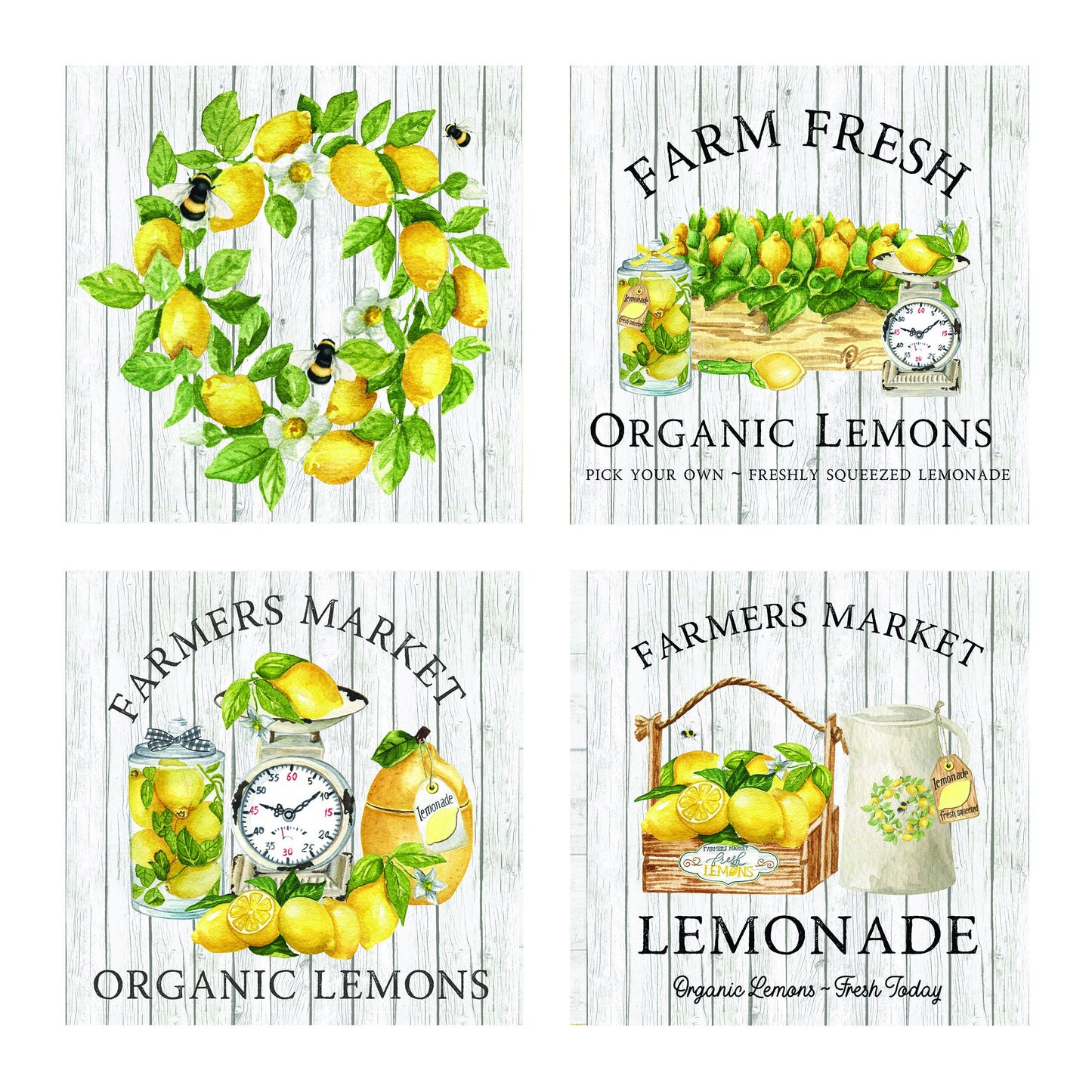 Set of 4 12x12 Lemon Zest Wall Art Canvas Prints