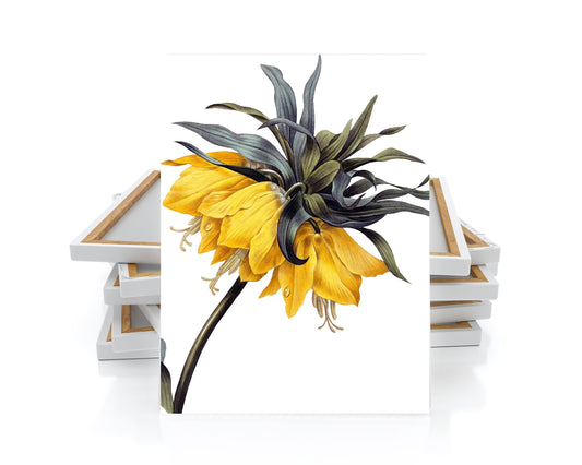 16x20 Crown Imperial Lily Botanical  Wall Art Canvas Print
