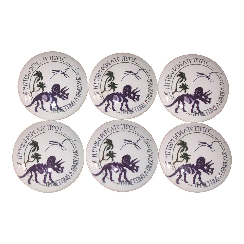 Set of 6 Dinosaur History Print Wood Cabinet Knobs