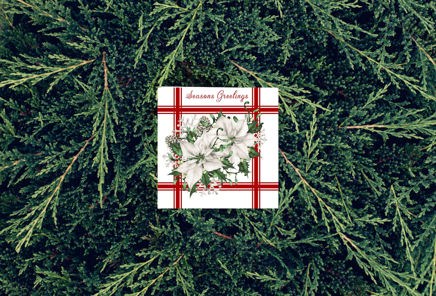 White Poinsettia Season's Greetings Christmas Printed Handmade Wood Christmas Ornament Mini Sign