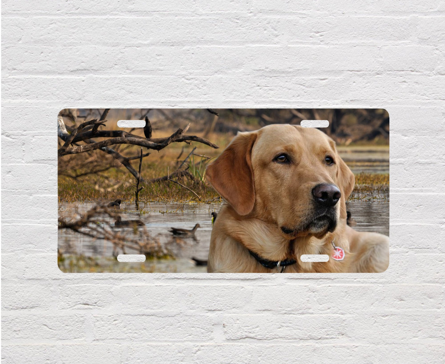 Placa de matrícula frontal de aluminio Labrador Retriever y Ducks Vanity