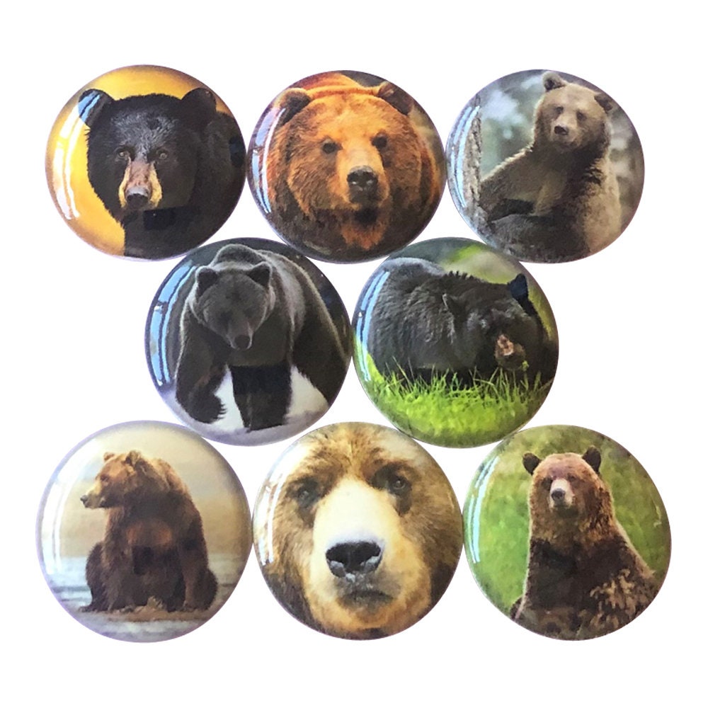 Set of 8 Bear in Nature Wood Cabinet Knobs Kitchen Cabinet Nursery Knobs Dresser Drawer Knobs