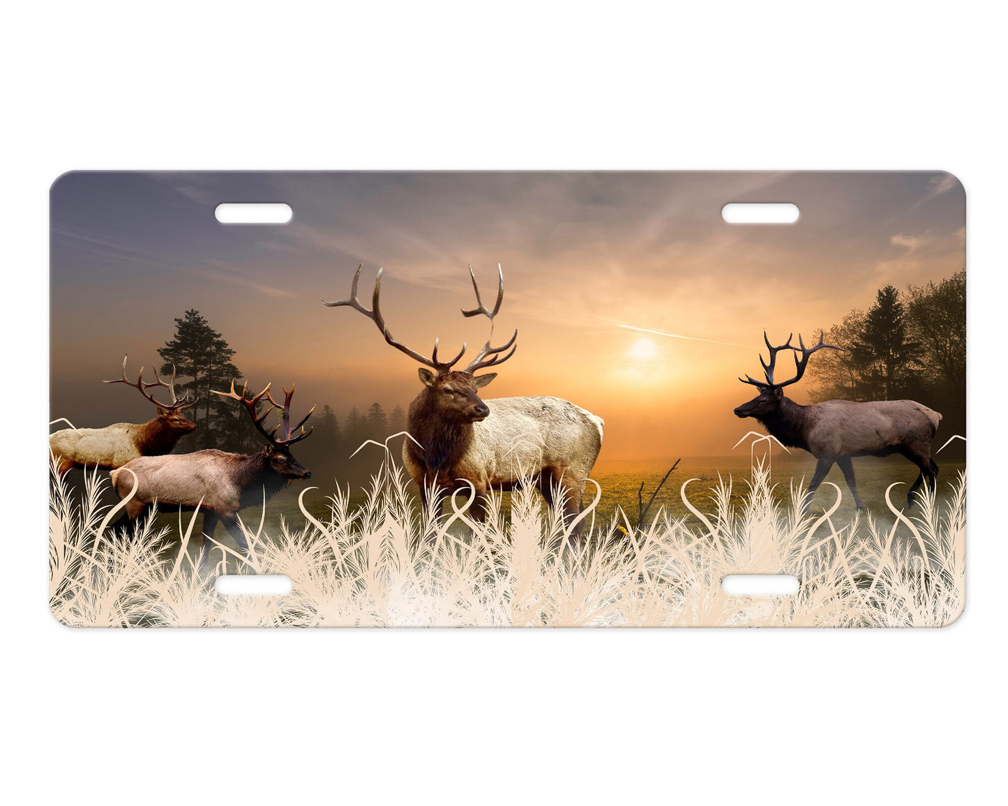 Winter Fields Elk Vanity Front License Plate