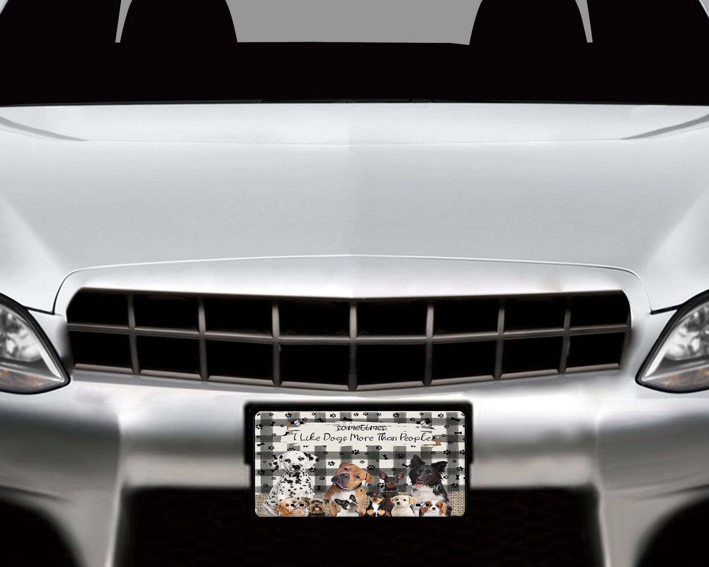 I Like Dogs More Than People Aluminum Front License Plate, Car Accessory, Vanity Plate