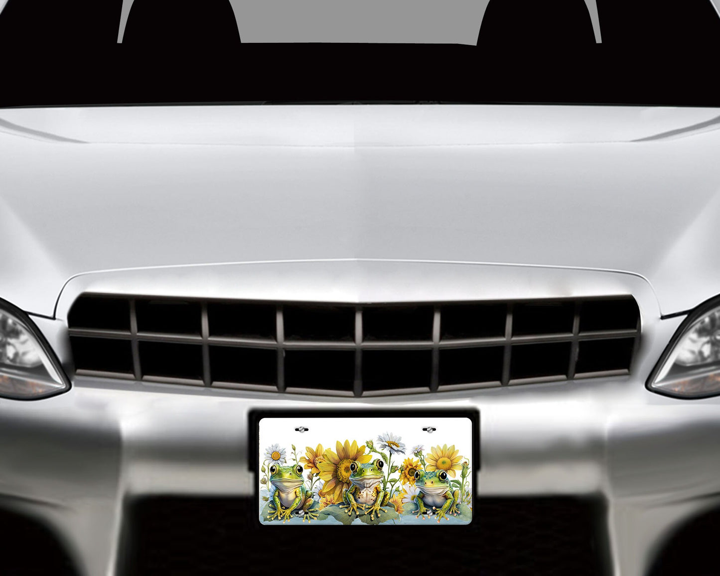 Frogs Aluminum Vanity License Plate Car Accessory Decorative Front Plate