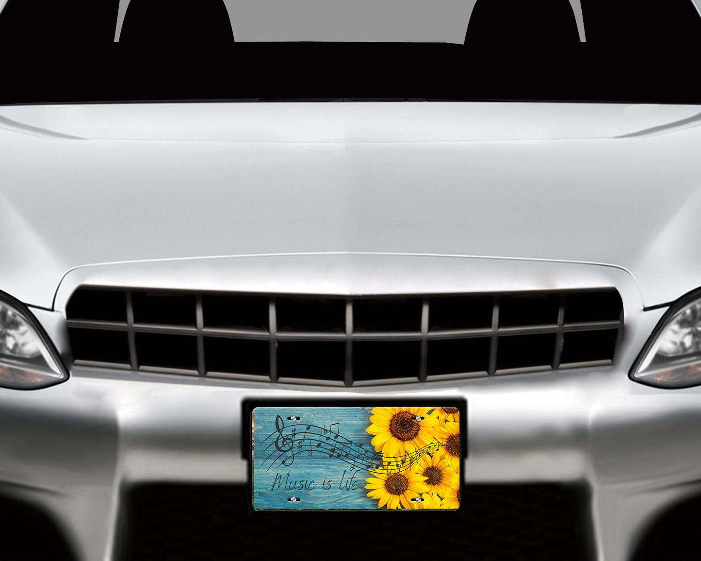 Vanity Front License Plate, Music is Life Aluminum Vanity License Plate Car Accessory Decorative Front Plate