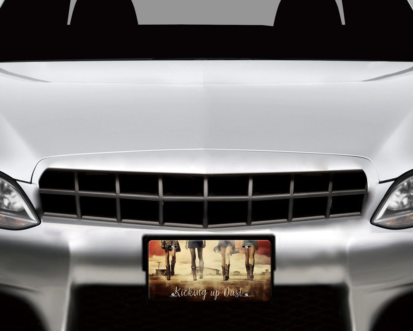 Vanity Front License Plate, Cowgirls Kicking Up Dust Aluminum Vanity License Plate Car Accessory Decorative Front Plate