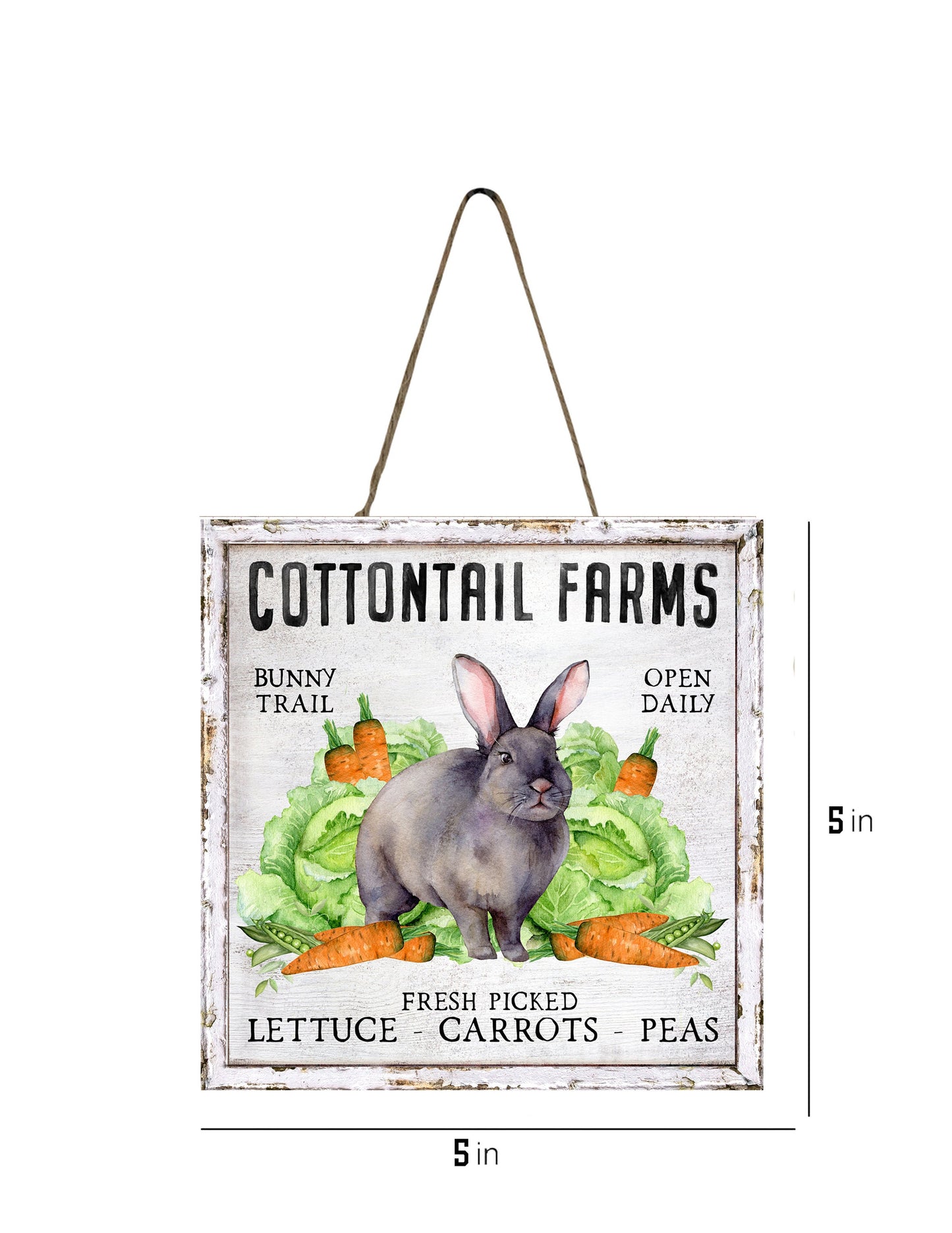 Cottontail Farms Carrots Cabbage Easter  Wood  Mini Sign, Tier Tray Decor, Kitchen Sign, Farmhouse, Wreath Sign, Door Hanger