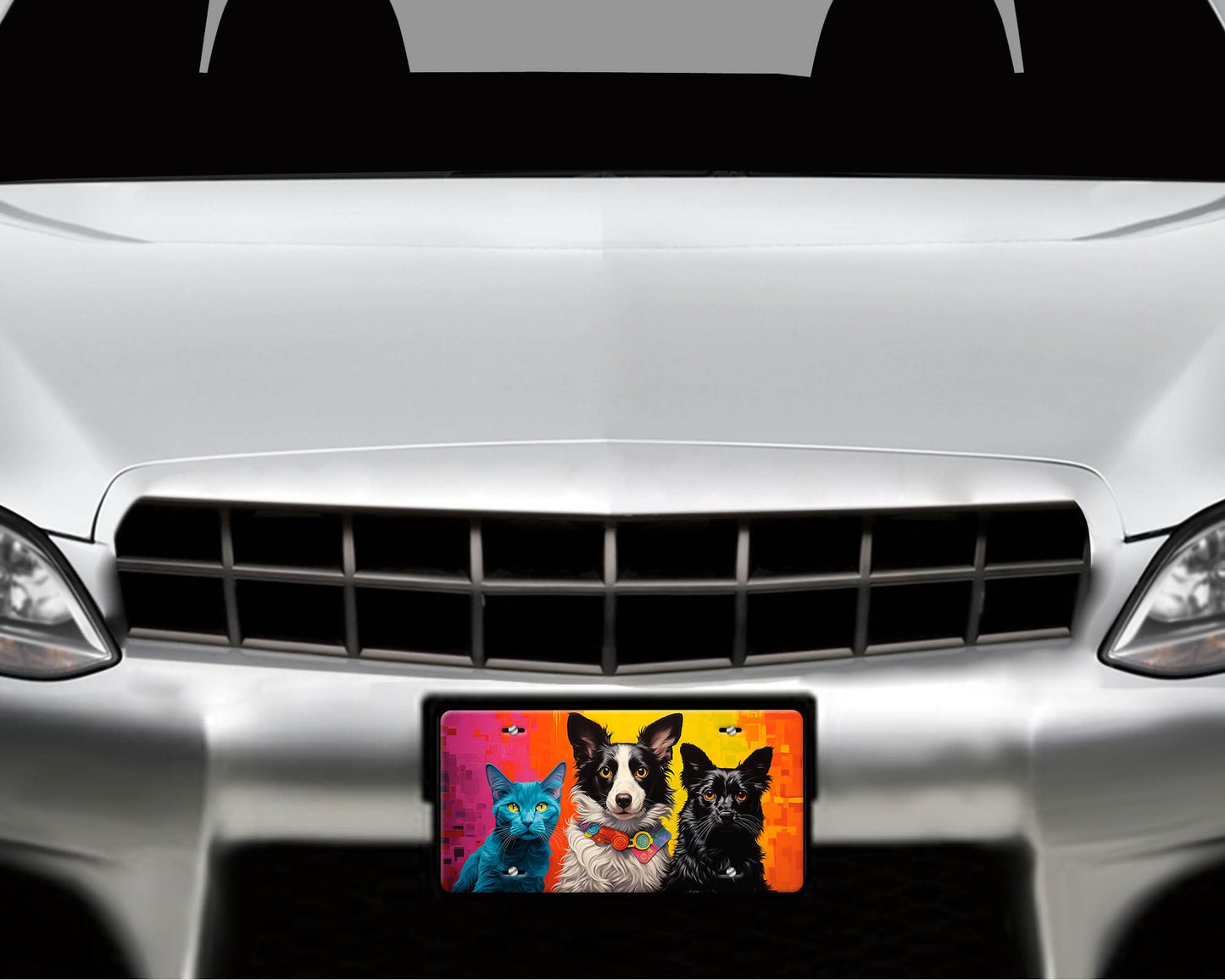 Vanity Front License Plate Cute Pets Aluminum Vanity License Plate Car Accessory Decorative Front Plate