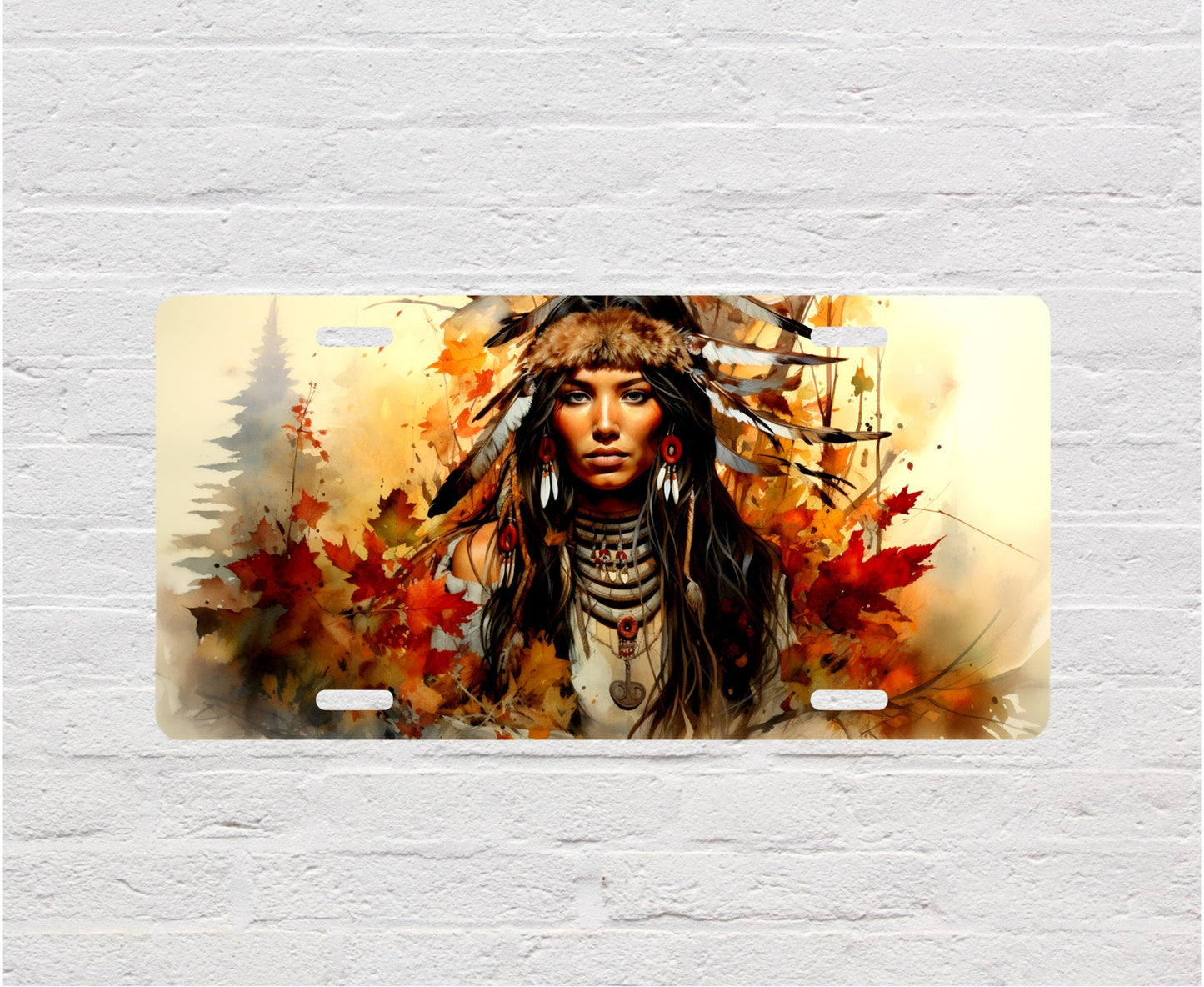 Vanity Front License Plate Indigenous Girl Two Aluminum Vanity License Plate Car Accessory Decorative Front Plate