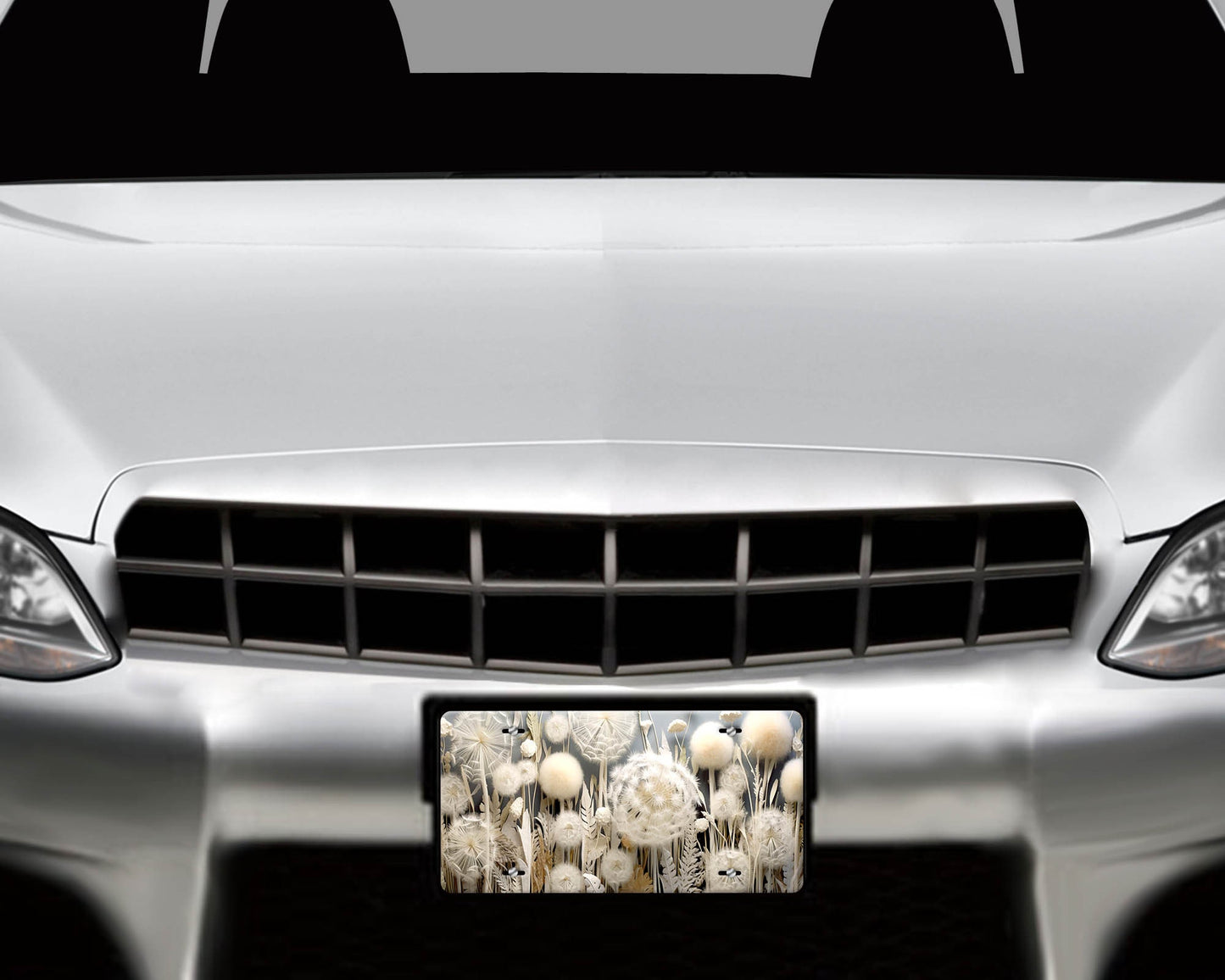 Vanity Front License Plate, Dandelion Aluminum Vanity License Plate Car Accessory Decorative Front Plate