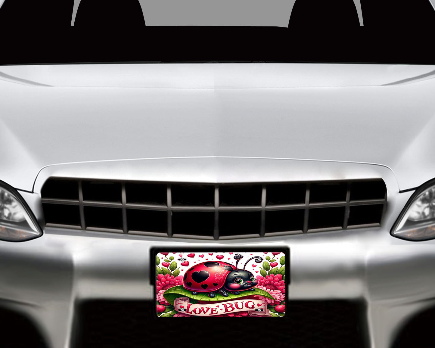 New Release, Love Bug Ladybug Vanity Decorative Front License Plate Cute Car License Plate Aluminum Metal Plate