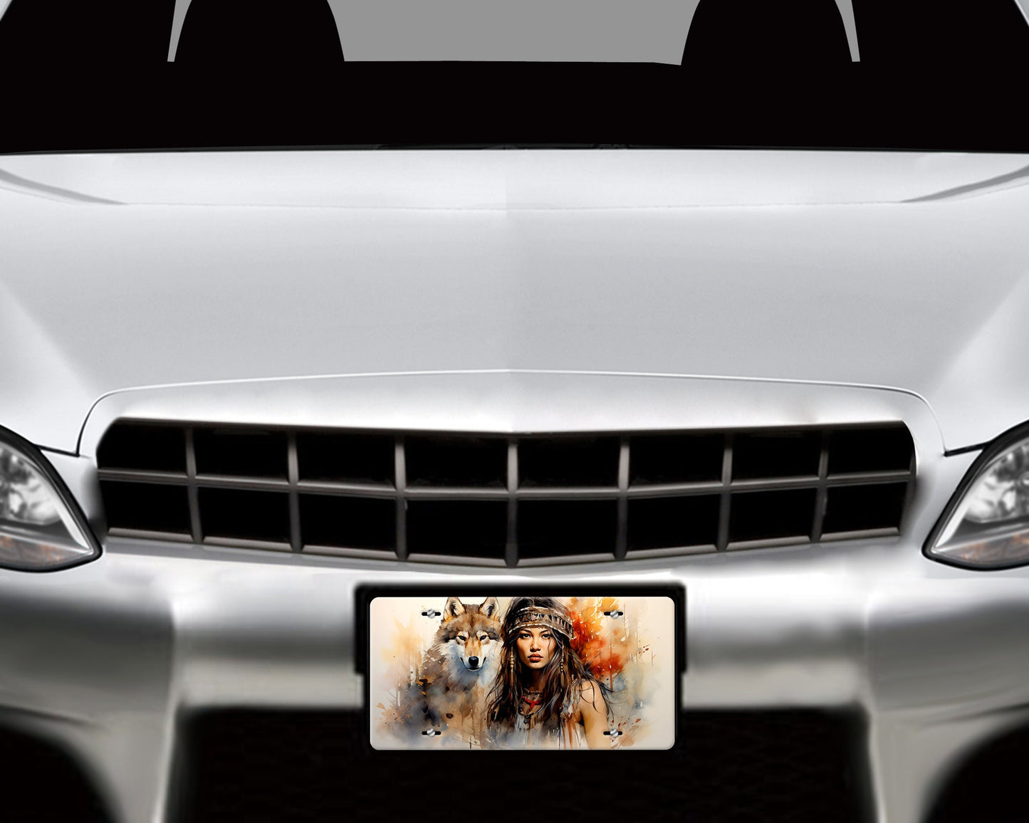 Native American Girl and Wolf Vanity Decorative Front License Plate Cute Car License Plate Aluminum Metal Plate