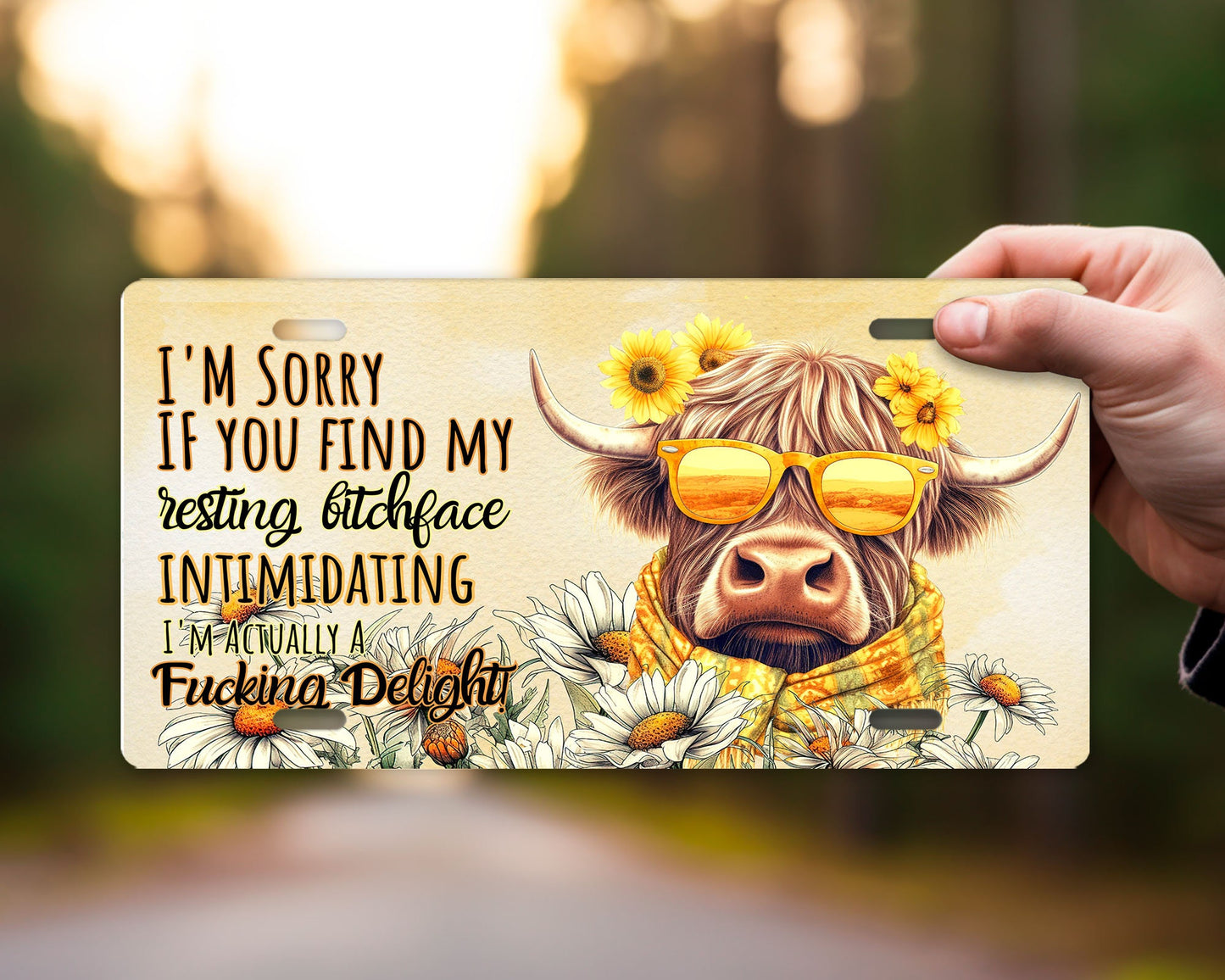 Vanity Front License Plate, I'm an F***ing Delight Highland Cow  Aluminum License Plate Car Accessory Decorative Front Plate