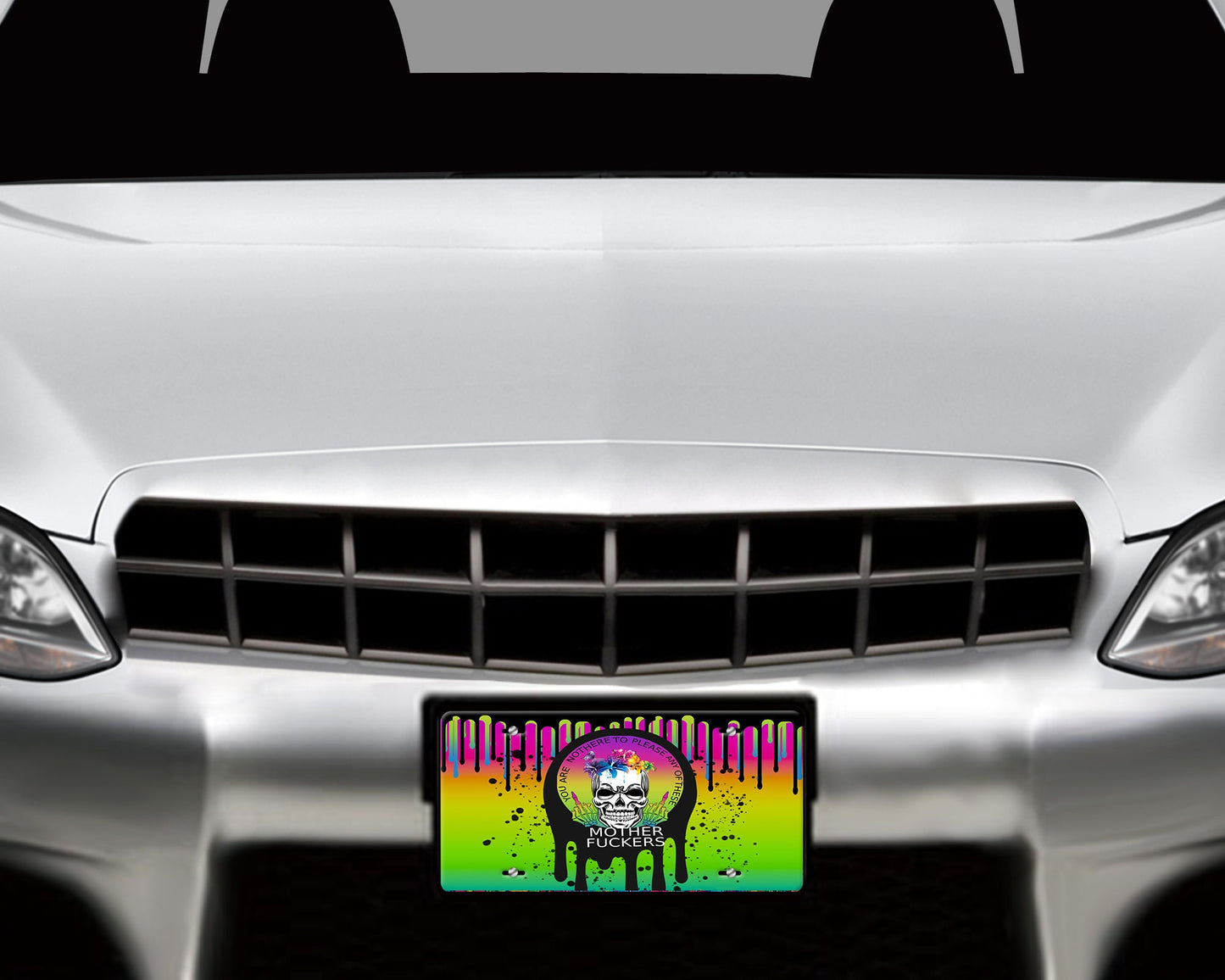 Vanity Front License Plate Not Here to Please   Aluminum License Plate Car Accessory Decorative Front Plate