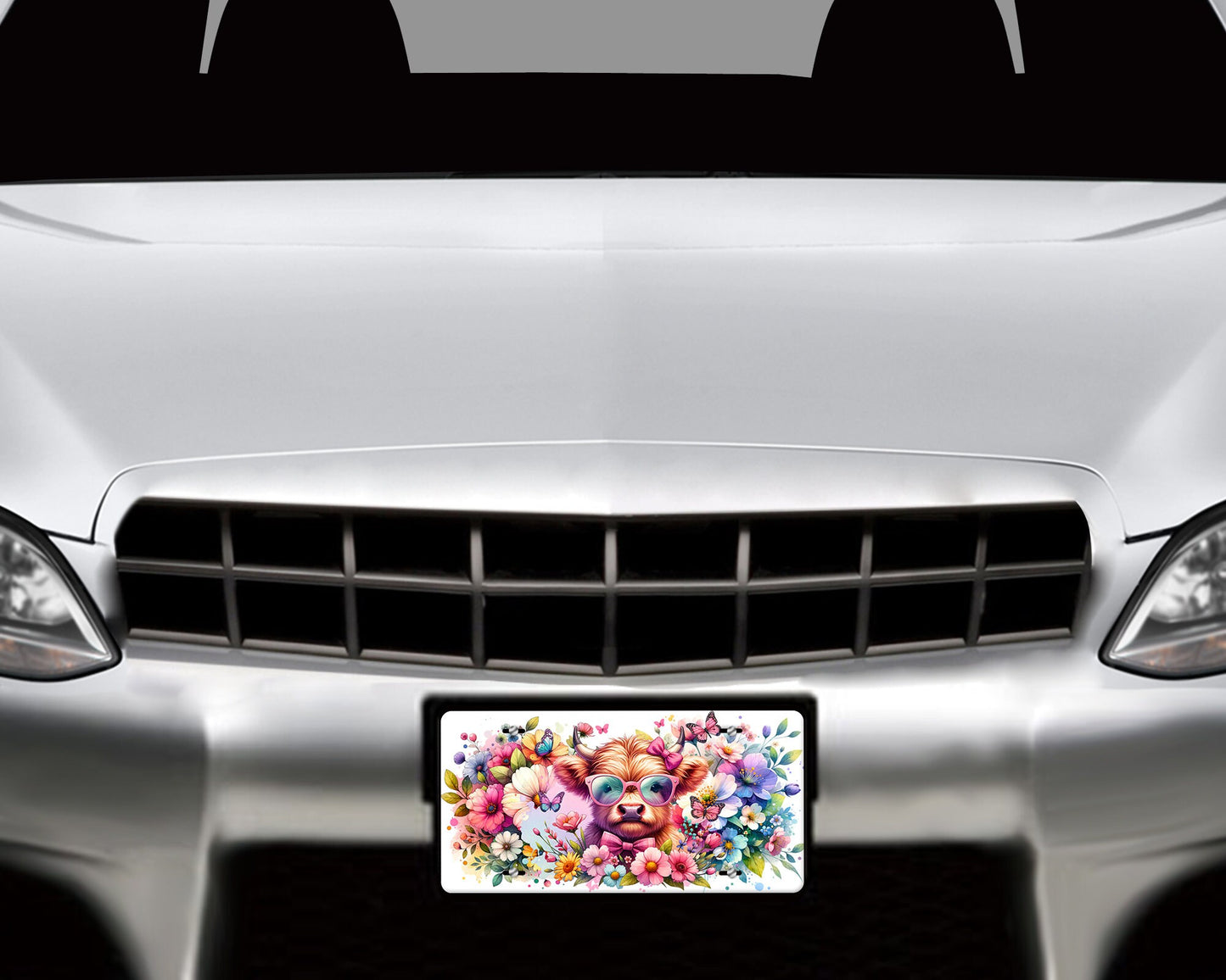 Vanity Front License Plate, Pastel Highland Cow Aluminum Vanity License Plate Car Accessory Decorative Front Plate