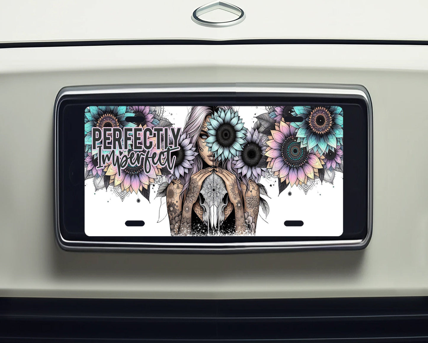 Vanity Front License Plate, Perfectly Imperfect Aluminum Vanity License Plate Car Accessory Decorative Front Plate