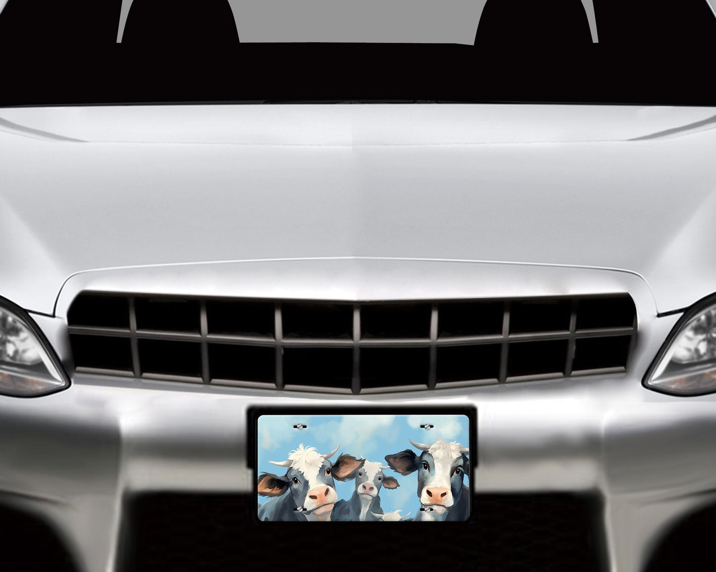 Vanity Front License Plate, Cows on Blue Aluminum License Plate Car Accessory Decorative Front Plate