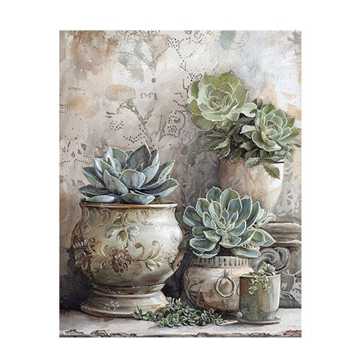 11x14 Succulents Wall Art Canvas Print