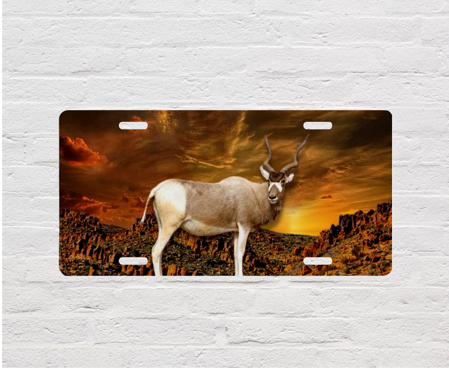 Vanity Front License Plate, Addax Aluminum License Plate Car Accessory Front Plate