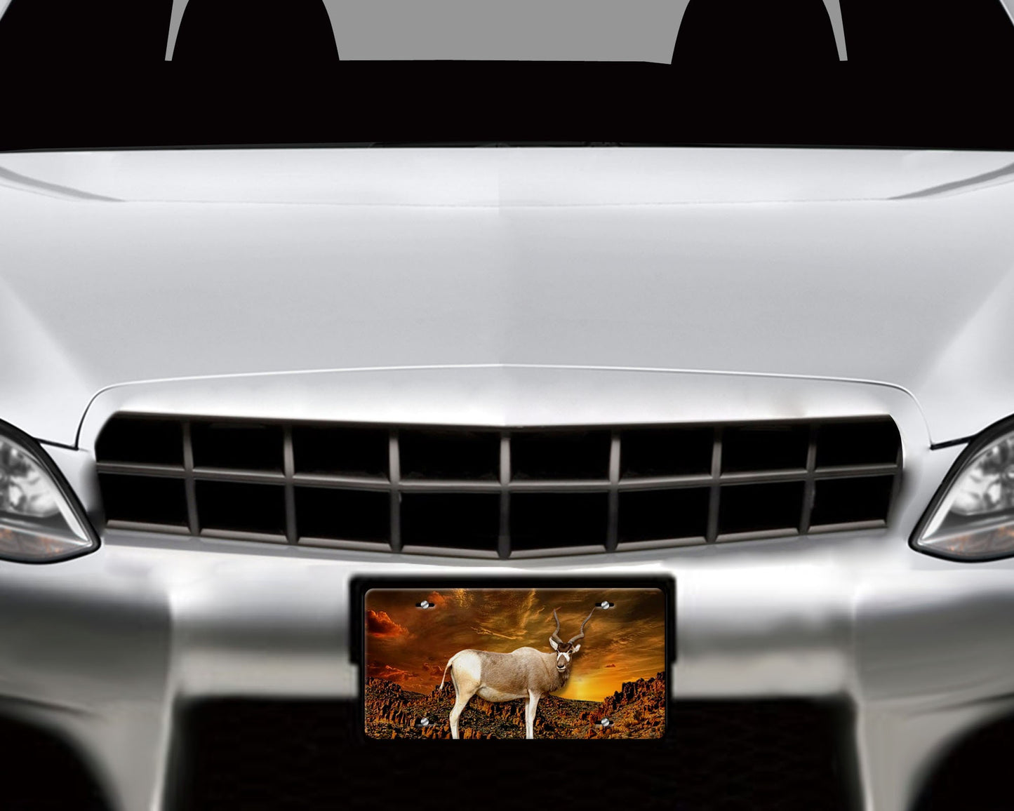 Vanity Front License Plate, Addax Aluminum License Plate Car Accessory Front Plate