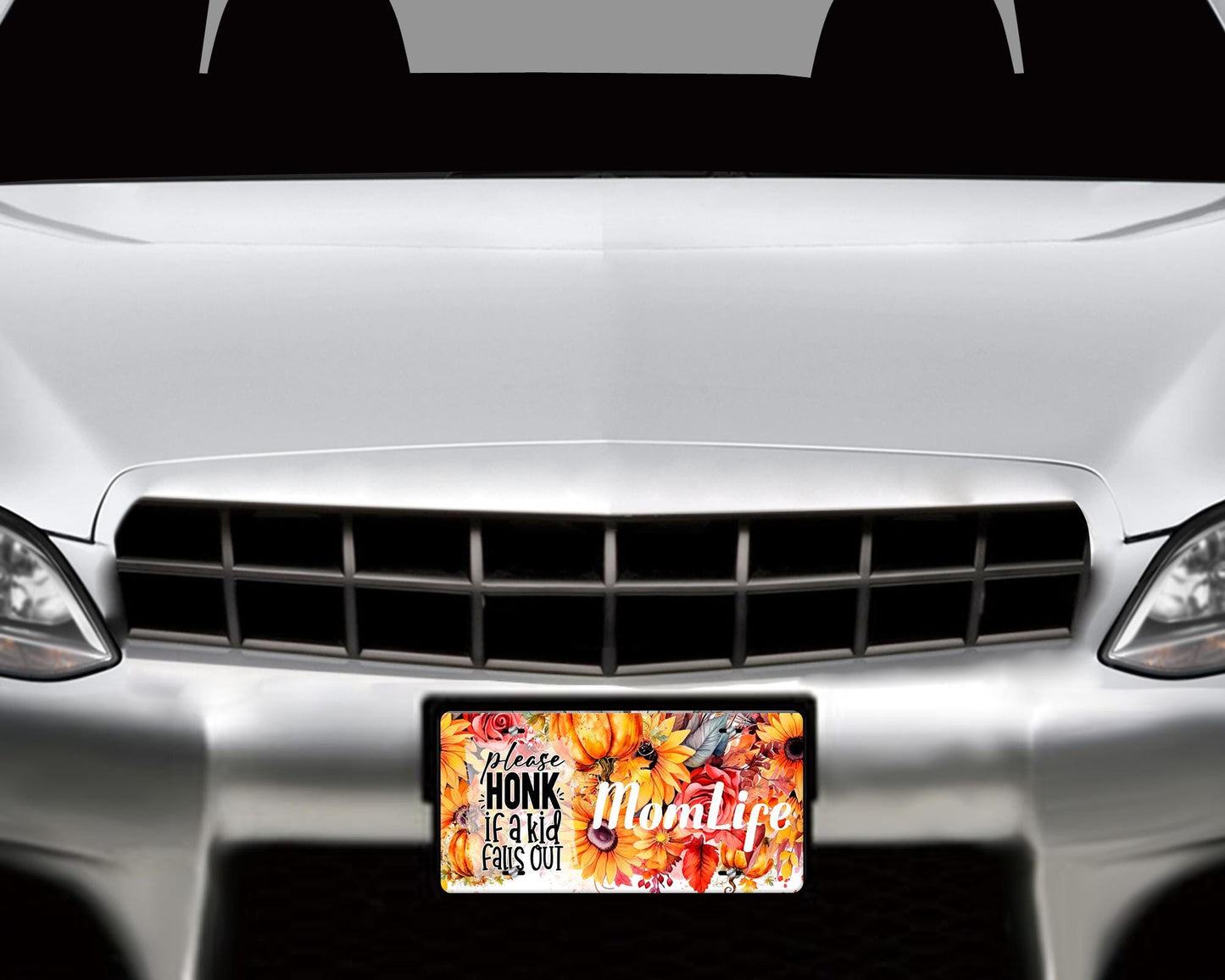 Vanity Front License Plate, Please Honk if a Kids Fall Out  Momlife Aluminum Vanity License Plate Car Accessory Decorative Front Plate