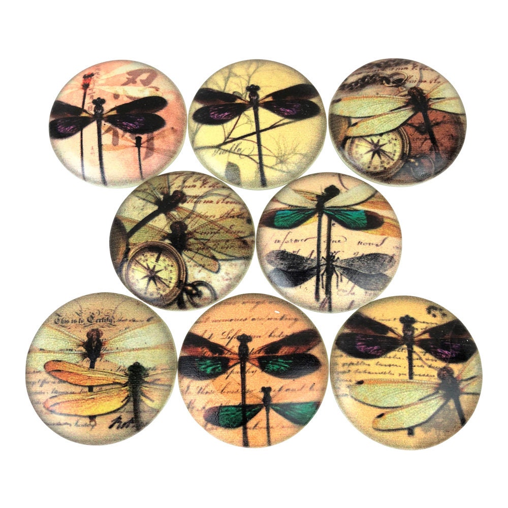 Set of 8 Dragonfly Typography Cabinet Knobs