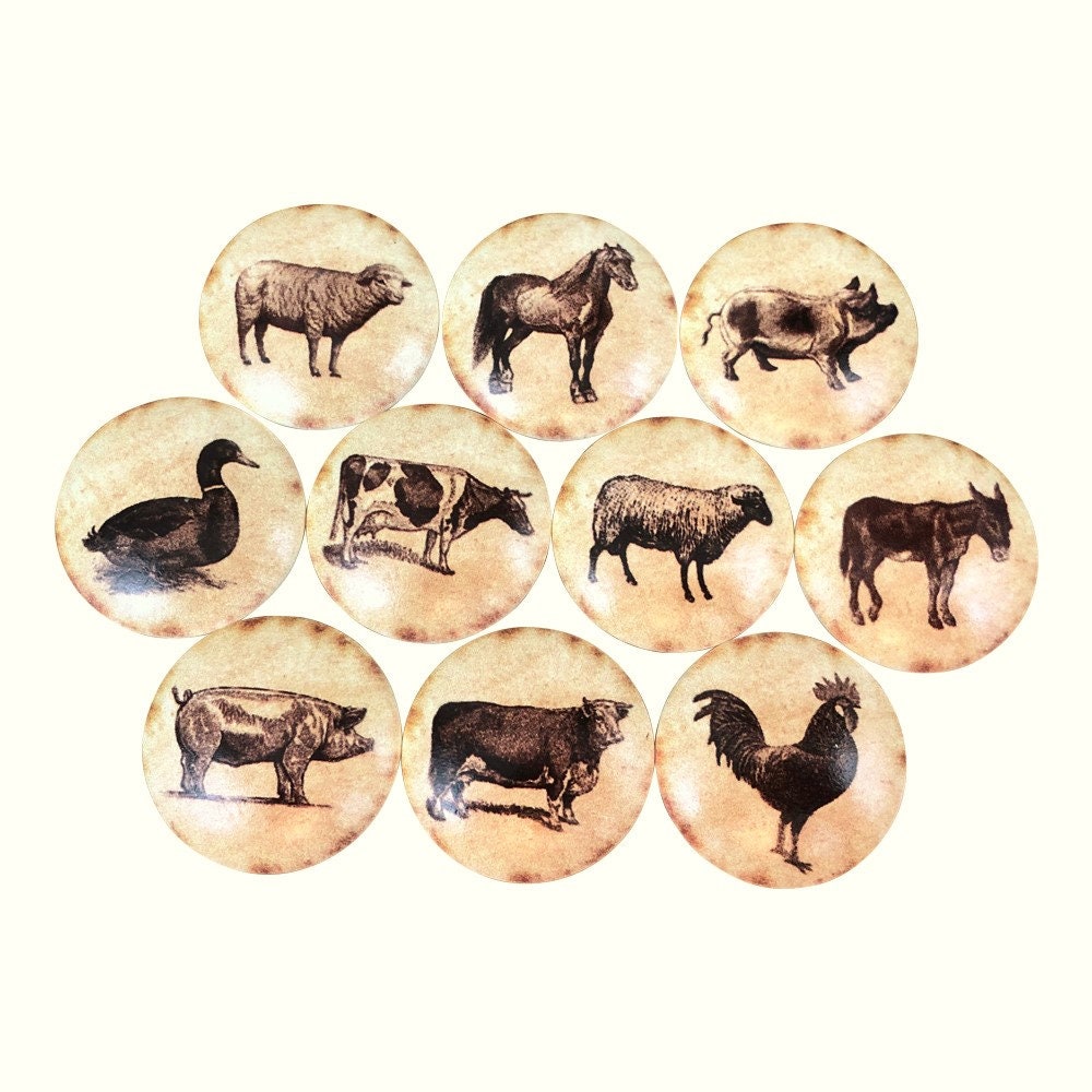 Set of 10 Vintage Farm Animals Print Cabinet Knobs