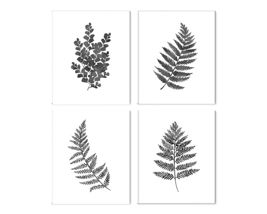 Set of 4  8x10 Black Fern Botanical Canvas Prints