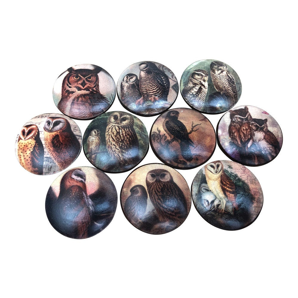 Set of 10 Owls Wood Print Cabinet Knobs