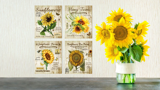 Set of 4  8x10 Farmhouse Sunflower Honey Wall Art Canvas Prints