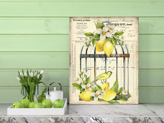 11x14 Lemon Birdcage Farmhouse Canvas Print