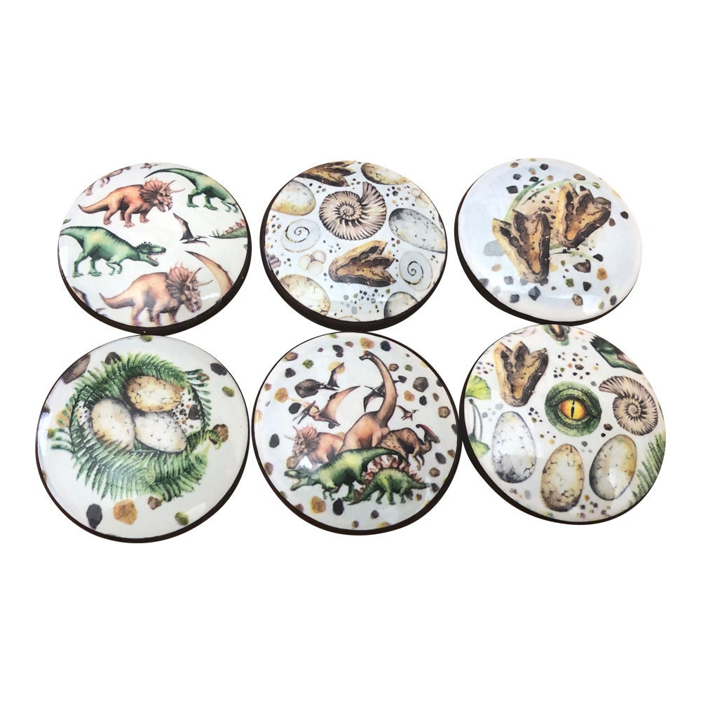 Set of 6 Dinosaur Tracks Wood Print Cabinet Knobs