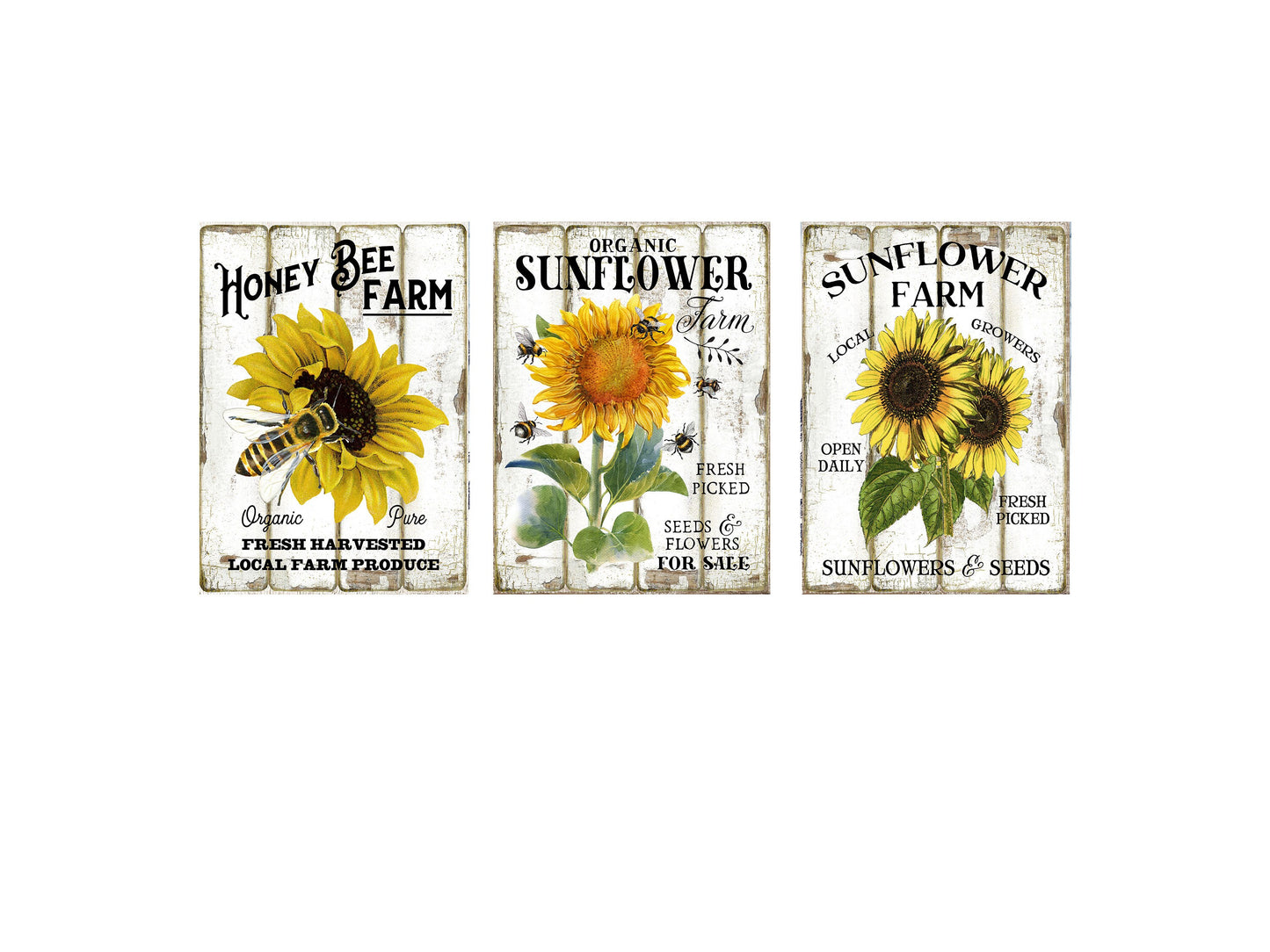 Set of 3 11x14 Sunflower and Bees Wall Art Canvas Prints