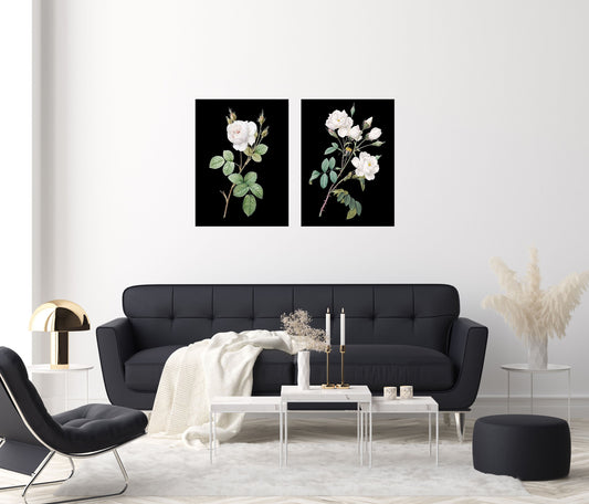 Set of 2 16x20 White Roses on Black Wall Art Canvas Prints