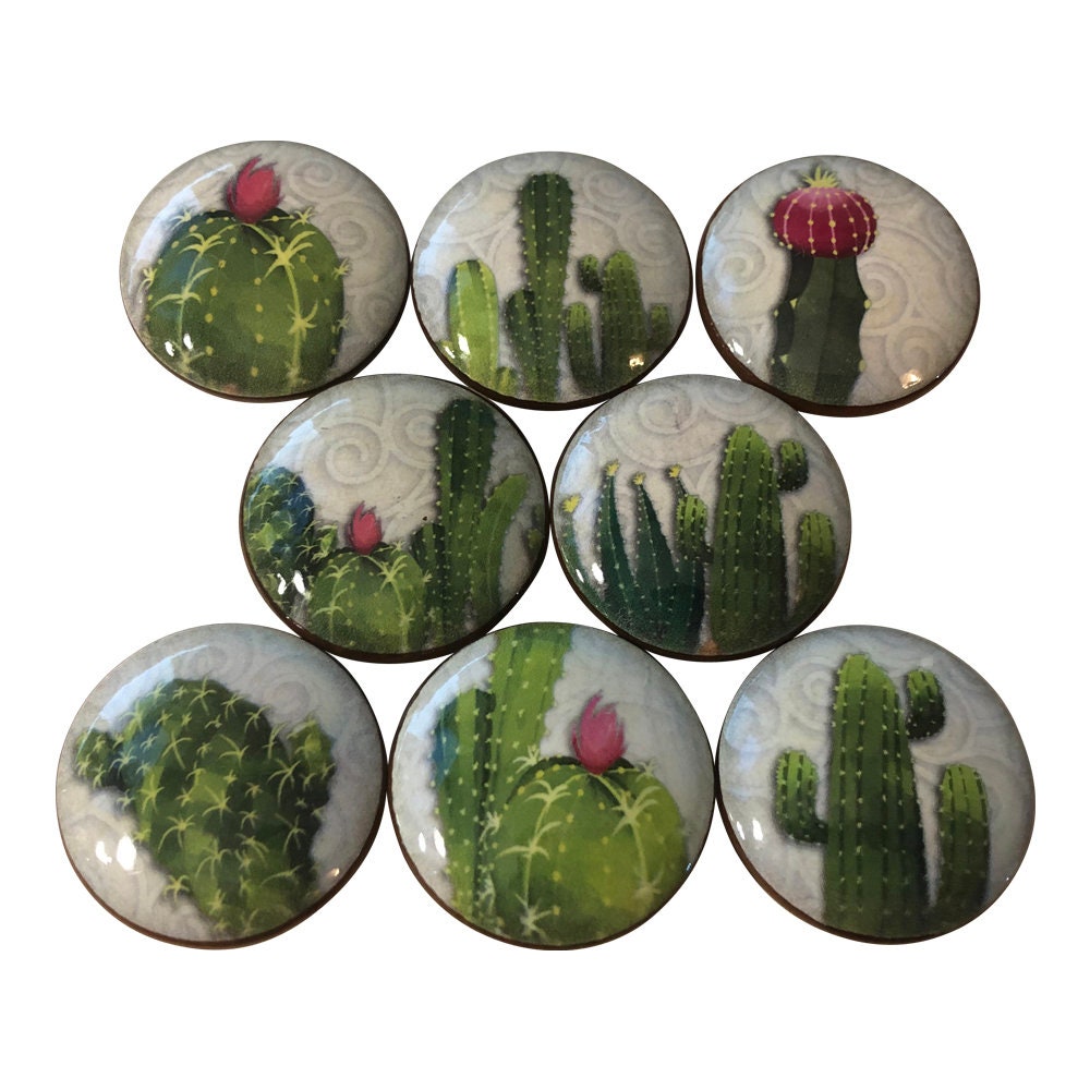 Set of 8 Cactus Wood Cabinet Knobs