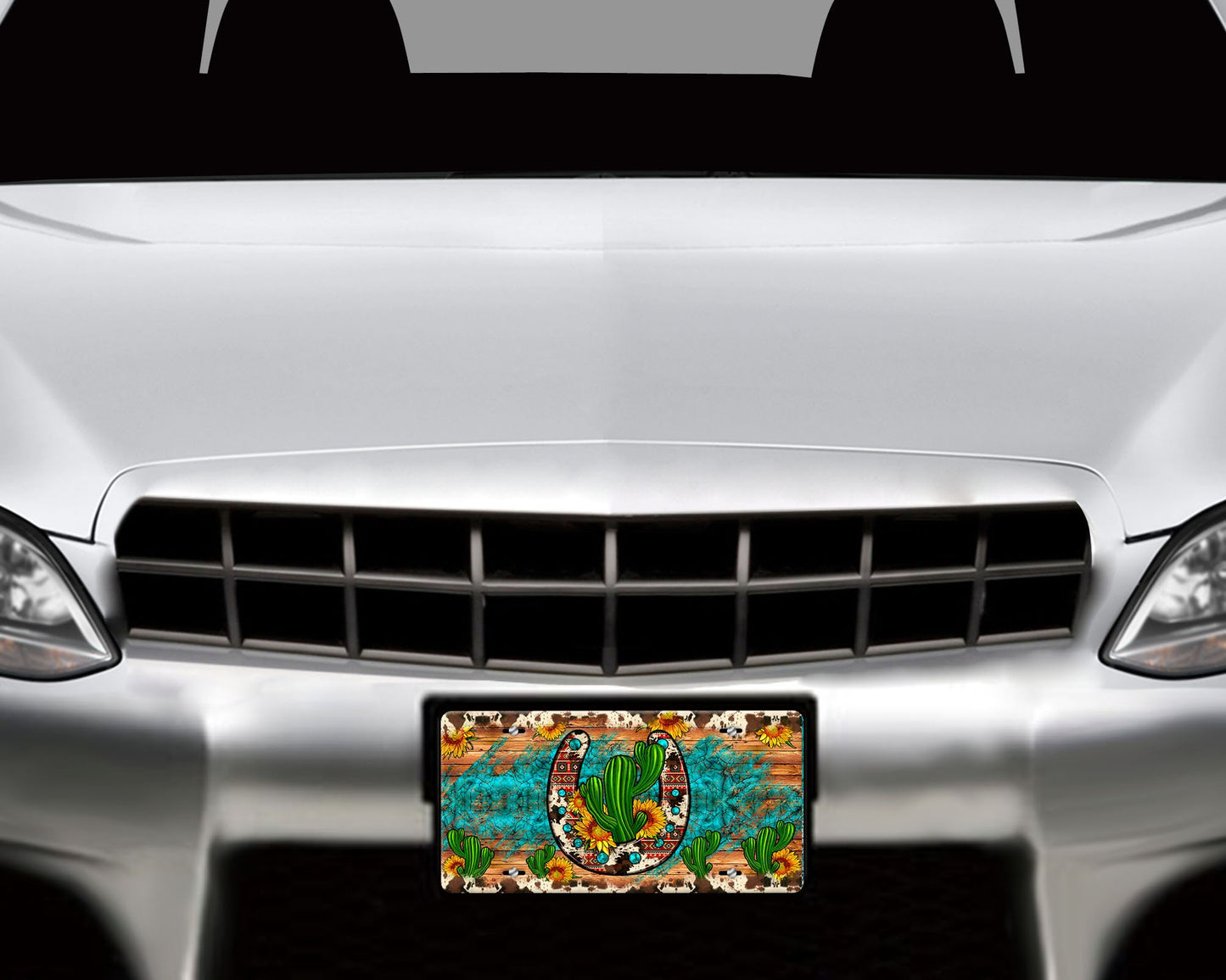 Western Horseshoe and Cactus Front License Plate and Sandstone Car Coasters