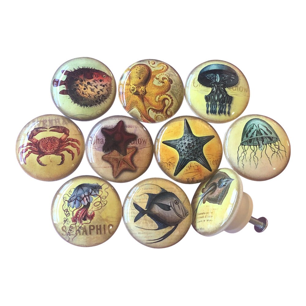 Set of 10 Colorful Sealife Cabinet Knobs