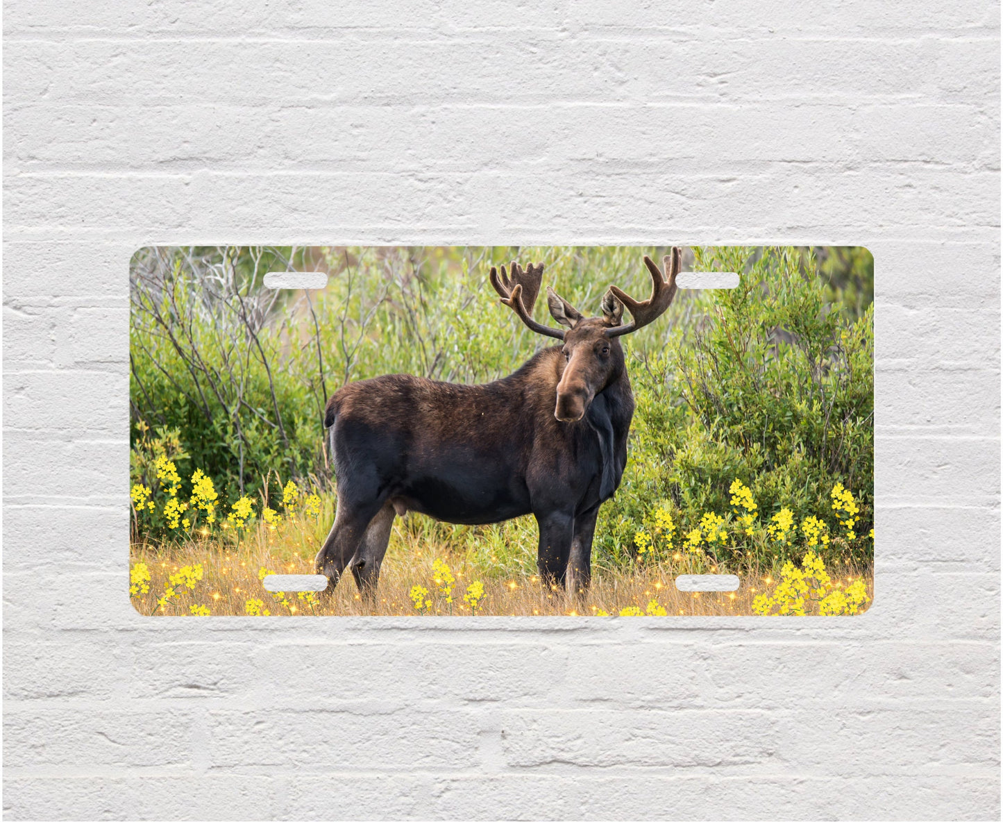 Placa de licencia de tocador de aluminio con alces en el campo y vida silvestre