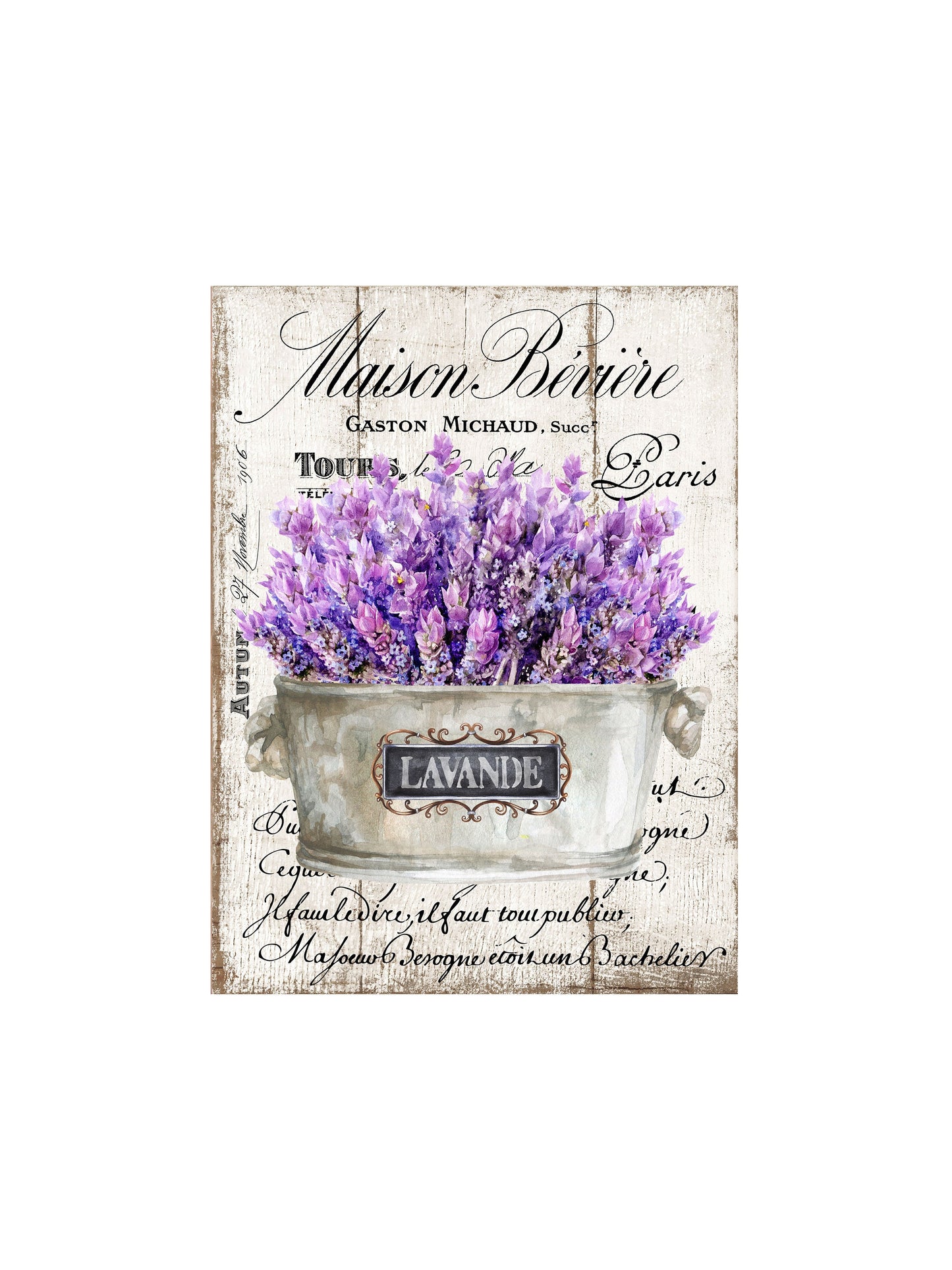 16x20 French Lavender Wall Art Canvas Print