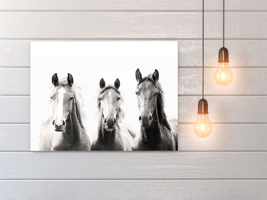 20x16 Horses Wall Art Canvas Print