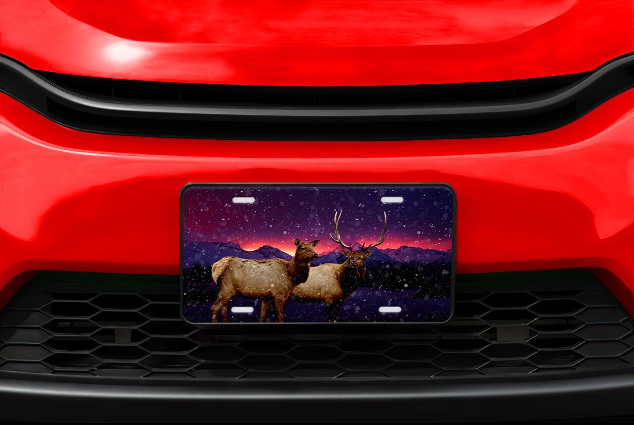 Northern Lights Elk Aluminum Vanity License Plate