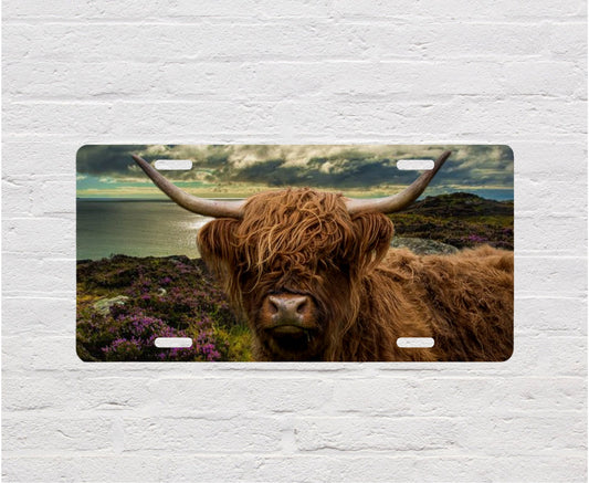 Highland Cow Aluminum Front License Plate Vanity Plate
