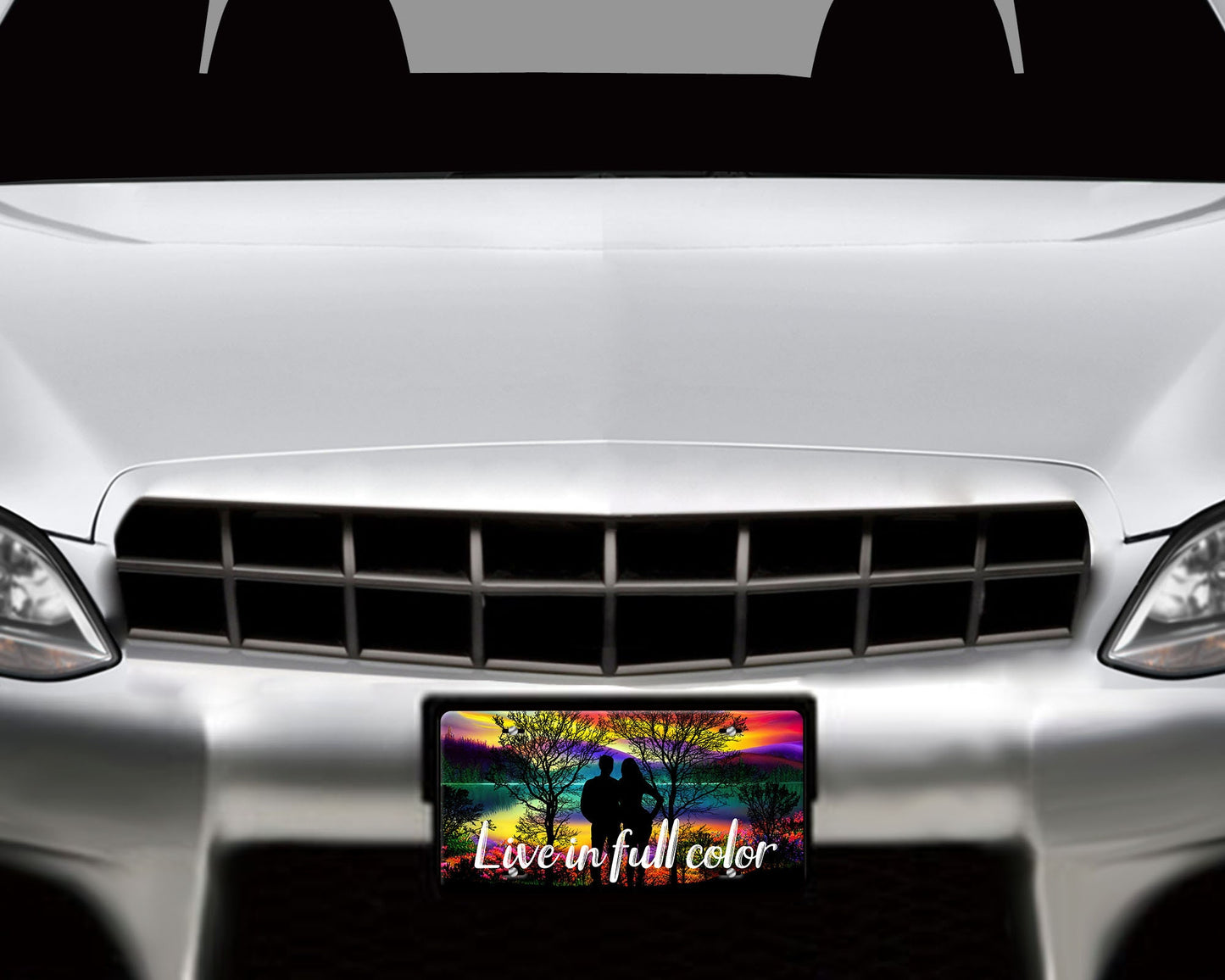 Live in Full Color Aluminum Front License Plate Vanity Plate