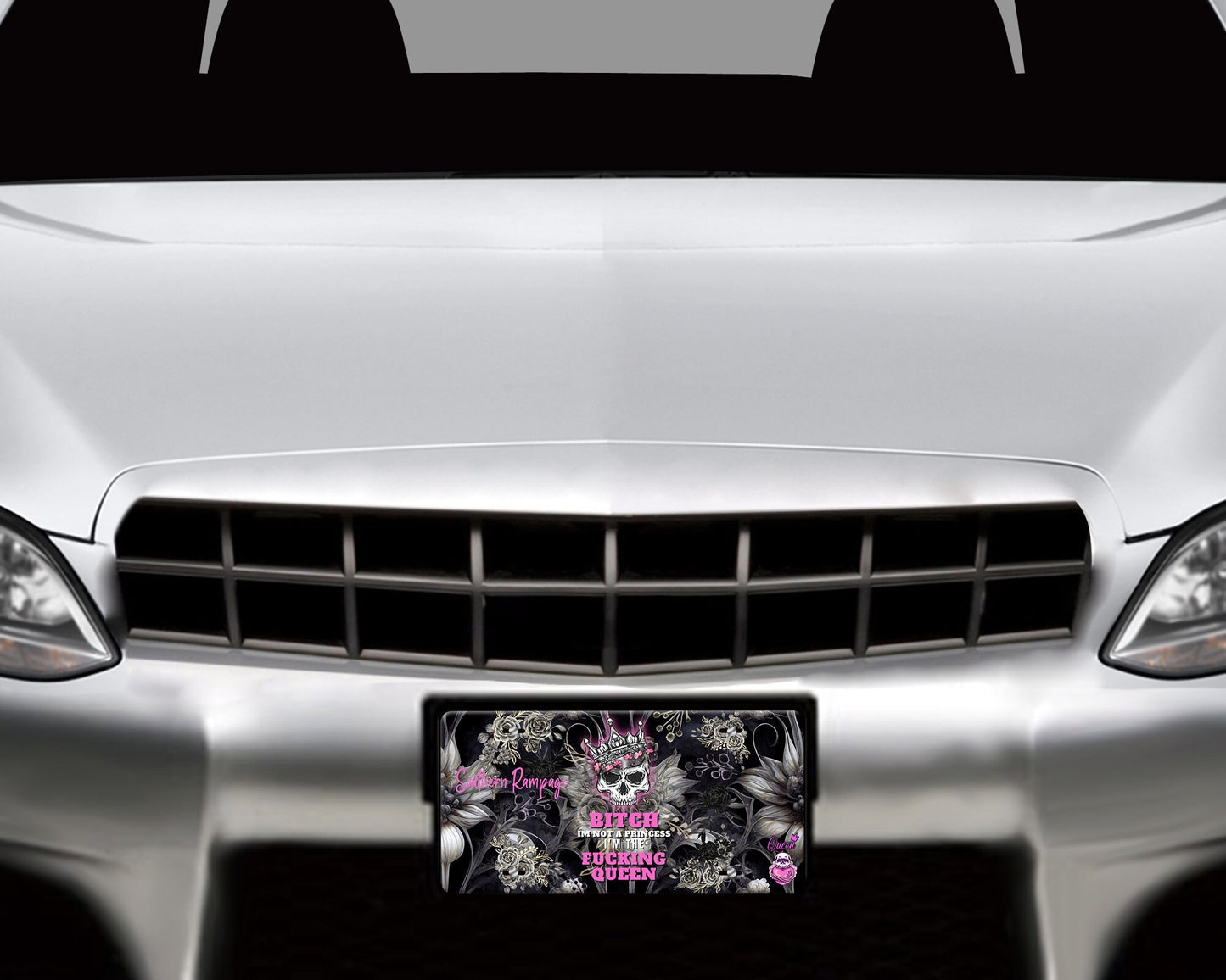 Bitch I'm not a Princess I'm the Fucking Queen Aluminum Vanity License Plate Car Accessory Decorative Front Plate