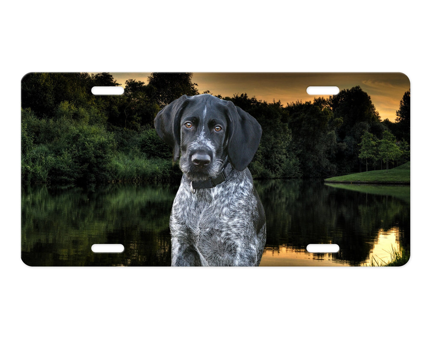 German Short Haired Pointer at Lake Pet Lovers Dog Aluminum Vanity License Plate Car Accessory Decorative Front Plate