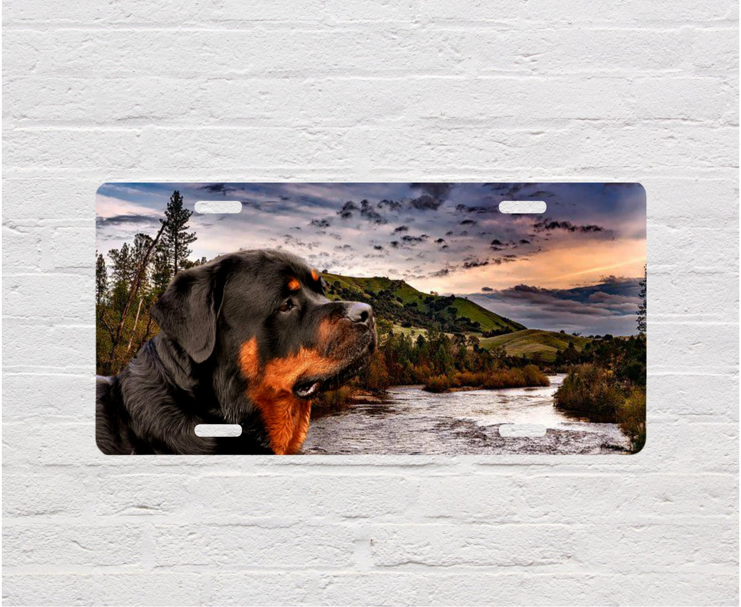 Rottweiler Pet Lovers Dog Aluminum Vanity License Plate Car Accessory Decorative Front Plate